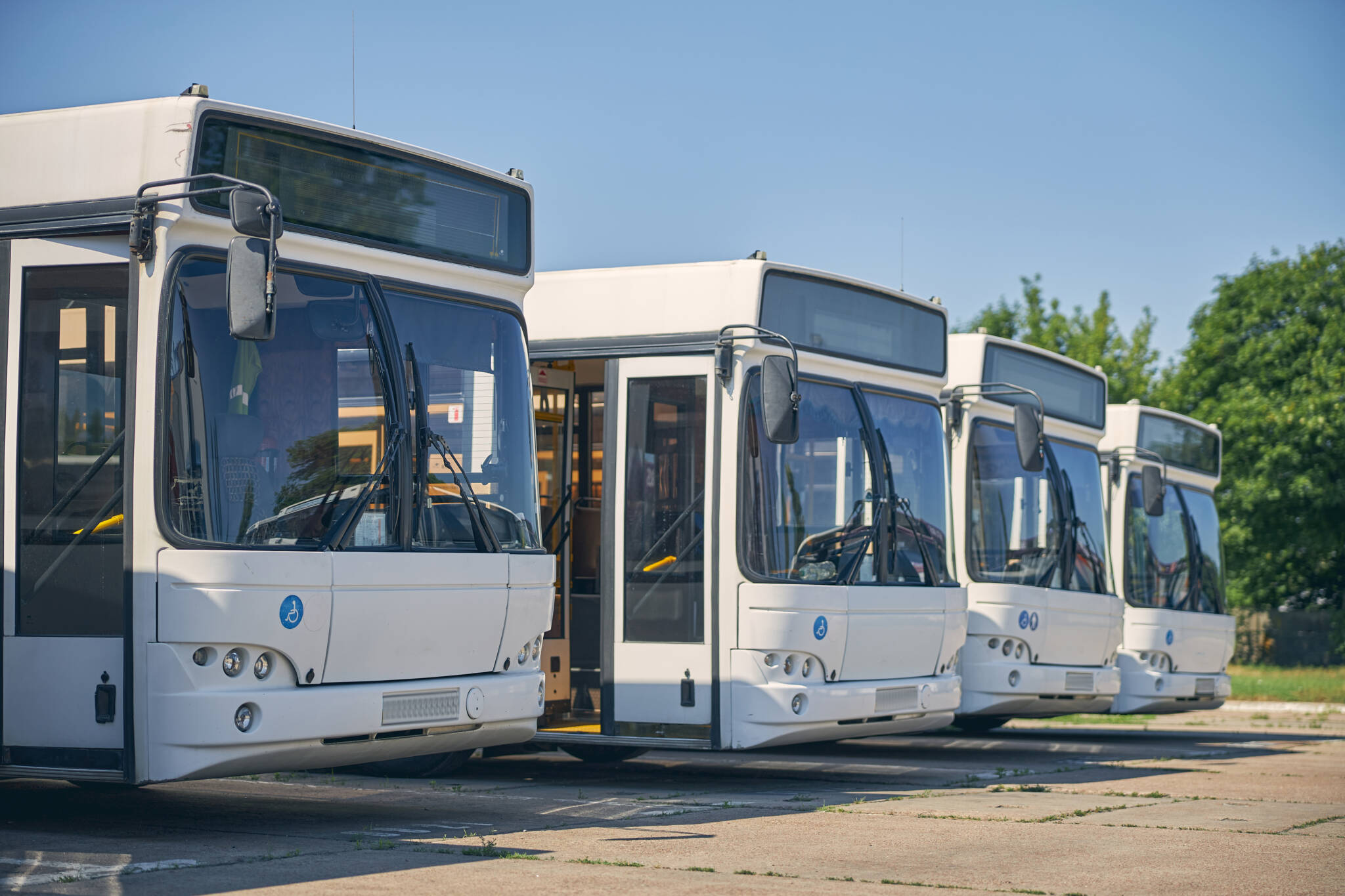 Four New Buses Standing In The Line